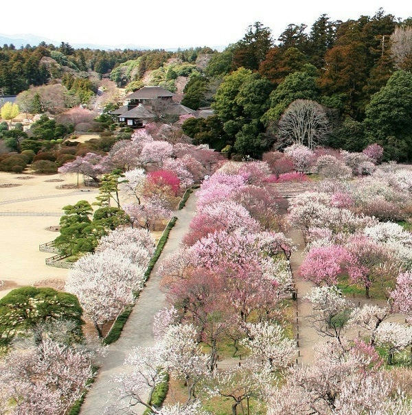 偕楽園 | TRIXMAG.